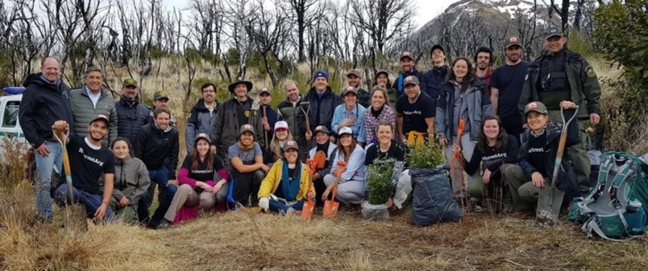 Un grupo de voluntarios que se encuentra plantando árboles en el Parque Los Alerces.